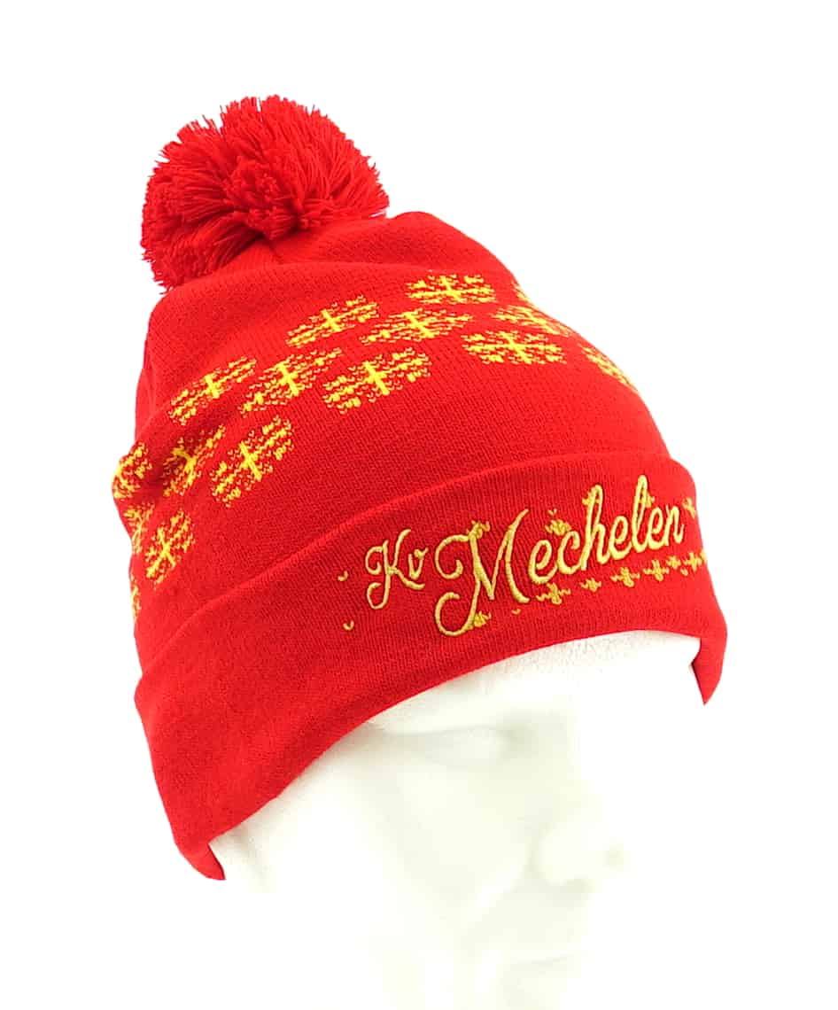 Beanie with logo - Image 9