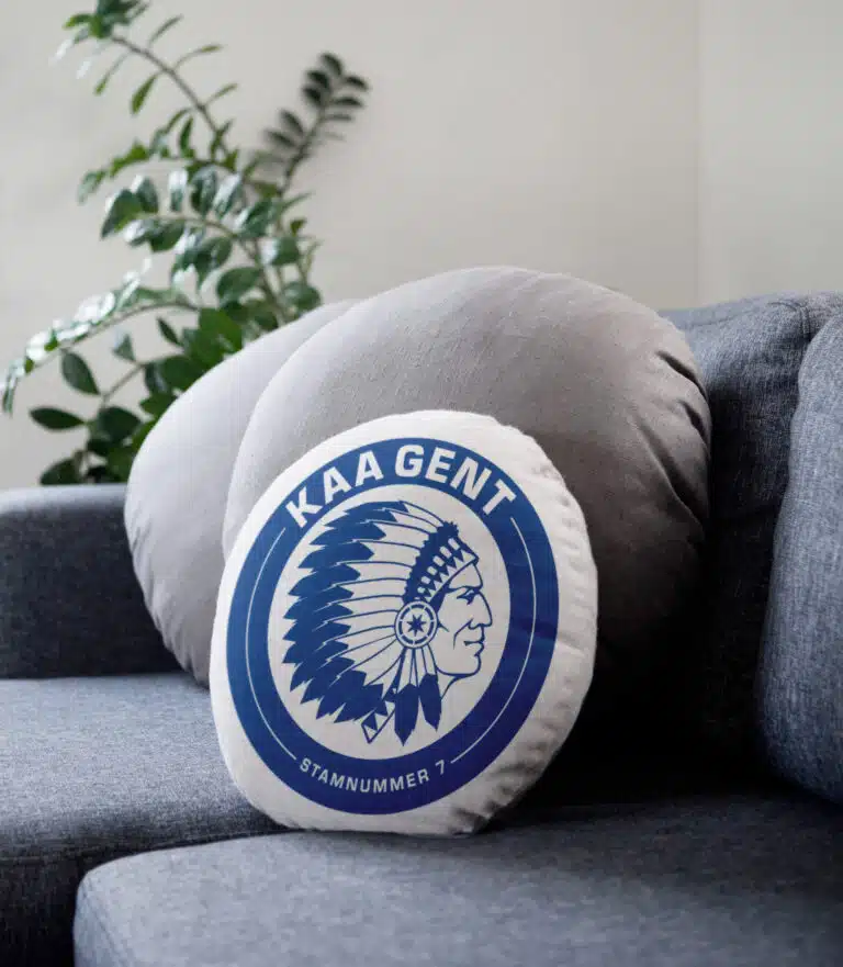 Round pillows on sofa in interior and flower in background. Dominating gray color and earth tones. Hygge living style